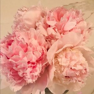 Meet your Posher, Julia